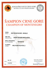 Xinxin-montenegro-07-2019